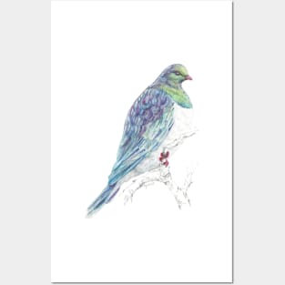 Mr Kereru, New Zealand native bird Posters and Art